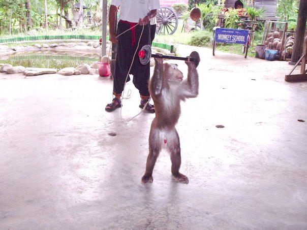 n55701833_30169236_1878