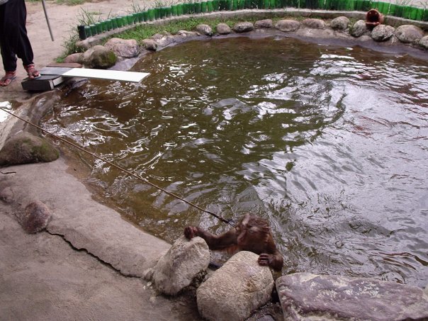 n55701833_30169242_2008