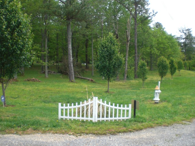 Southeast Tornadoes 2011