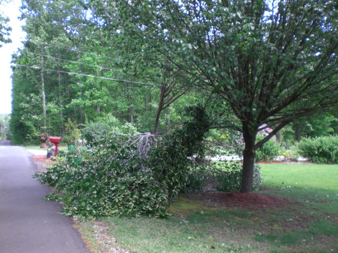 Southeast Tornadoes 2011