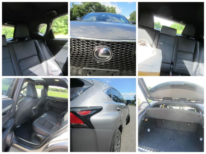 2015 Lexus NX Review/Preview Across The Natchez Trace Parkway Bridge