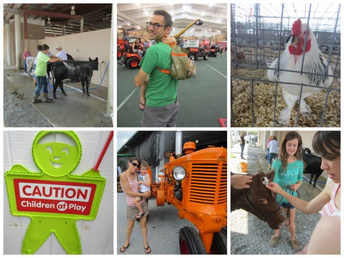 Williamson County Fair: Family Friendly Review by Nick Shell