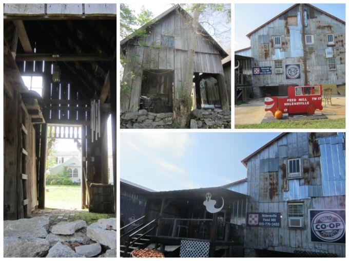 Dear Jack: You Think We’re Just Fishing… For Tadpoles