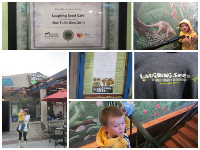 Vegan Friendly Review Of Asheville, North Carolina