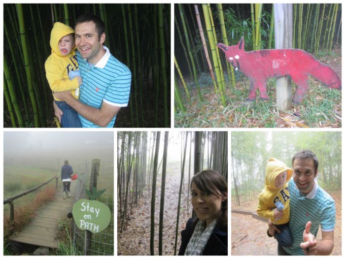 Sky Top Orchard In Asheville, NC: Family Friendly Review