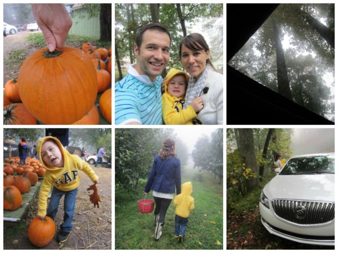 Sky Top Orchard In Asheville, NC: Family Friendly Review