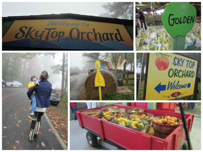 Sky Top Orchard In Asheville, NC: Family Friendly Review