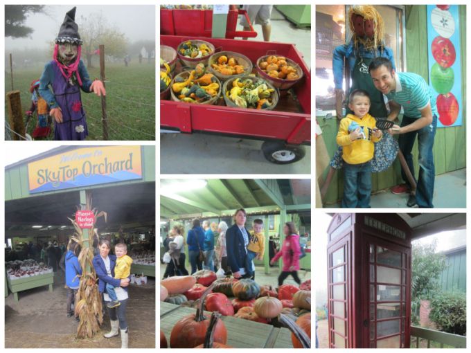 Sky Top Orchard In Asheville, NC: Family Friendly Review