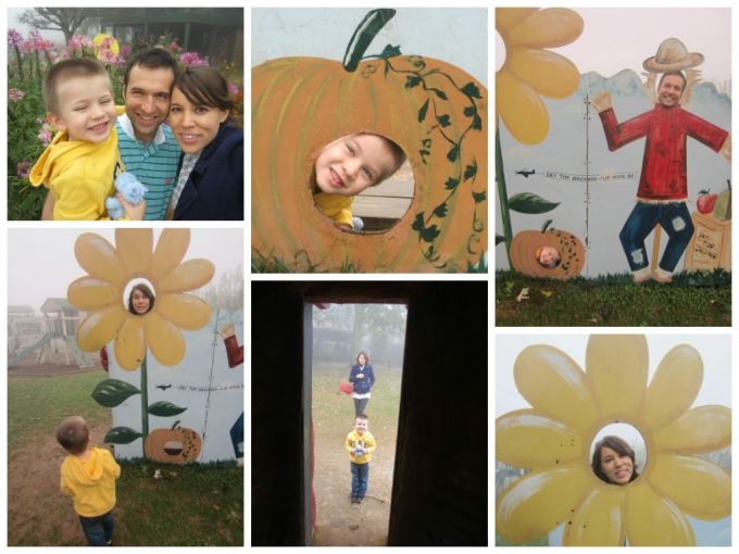 Sky Top Orchard In Asheville, NC: Family Friendly Review