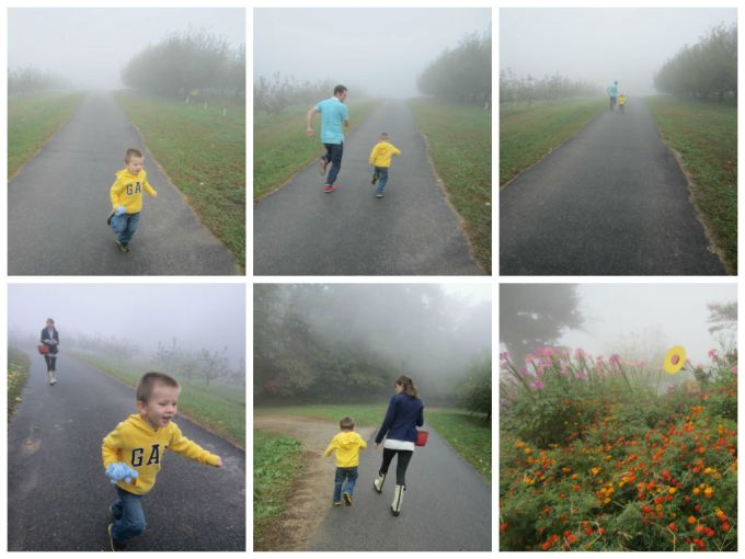 Sky Top Orchard In Asheville, NC: Family Friendly Review