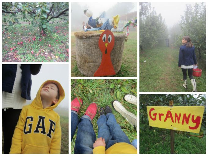 Sky Top Orchard In Asheville, NC: Family Friendly Review