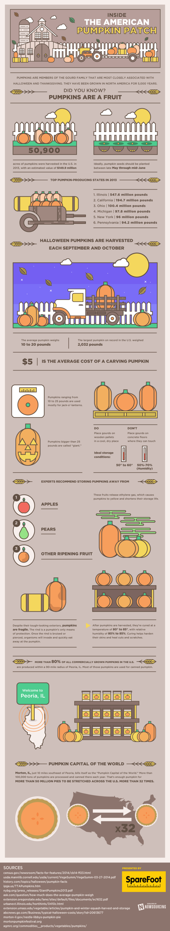 pumpkins infographic