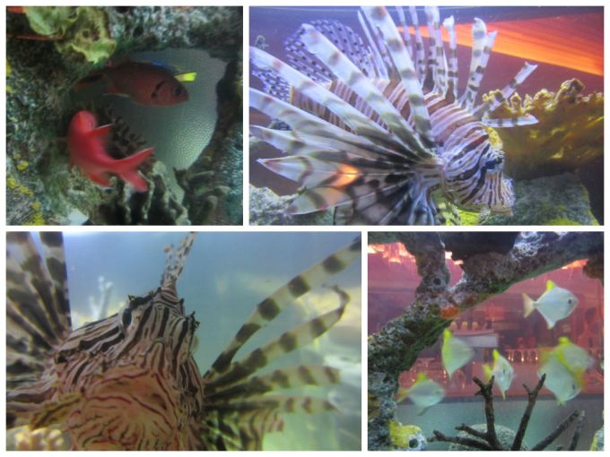 Vegan Friendly Review Of Ponte Verde Inn & Club At Pompano Beach, FL