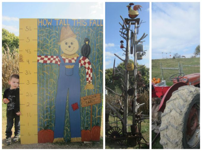 Walden Farm (Pumpkin Patch): Family Friendly Review