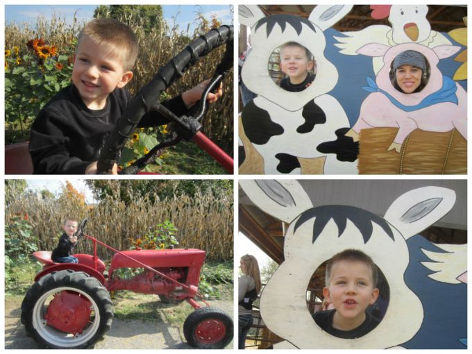 Walden Farm (Pumpkin Patch): Family Friendly Review