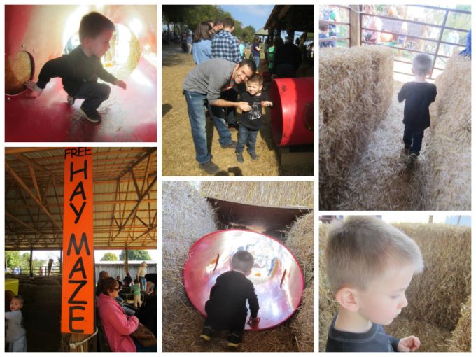 Walden Farm (Pumpkin Patch): Family Friendly Review