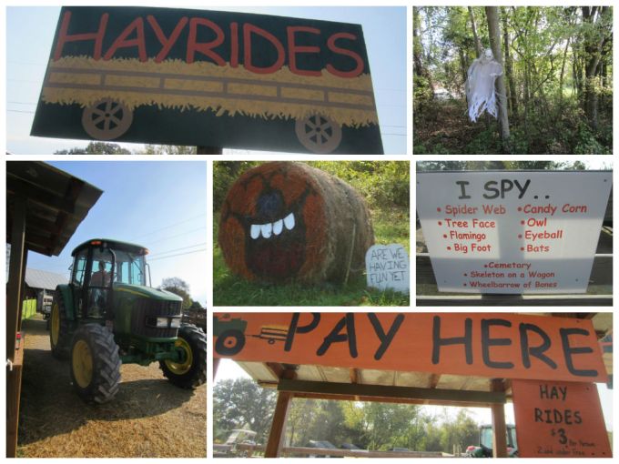 Walden Farm (Pumpkin Patch): Family Friendly Review