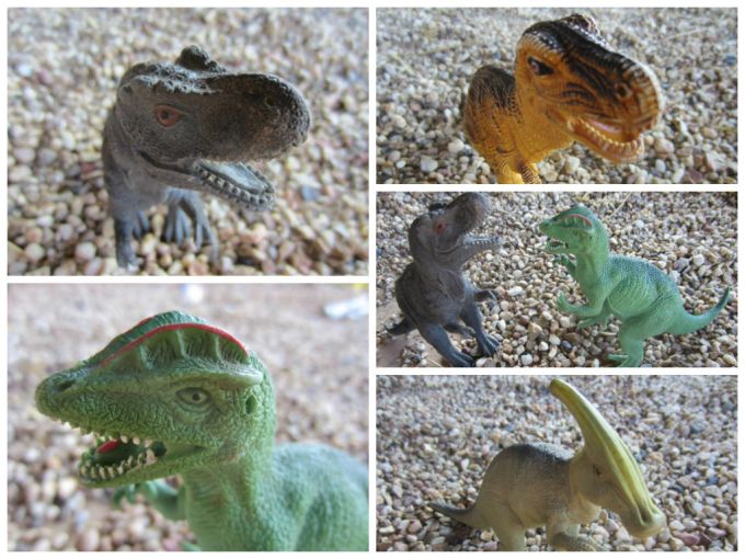 Walden Farm (Pumpkin Patch): Family Friendly Review