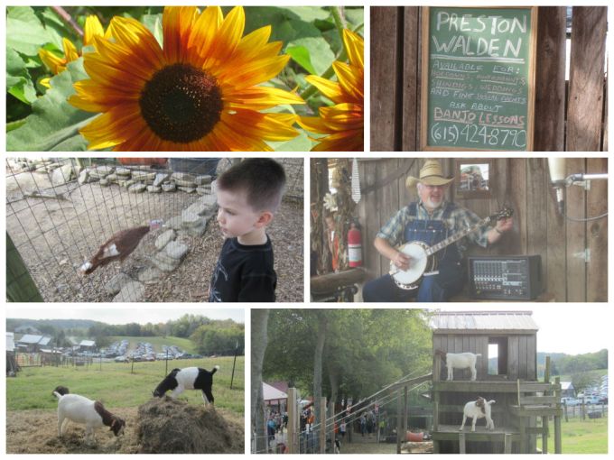 Walden Farm (Pumpkin Patch): Family Friendly Review