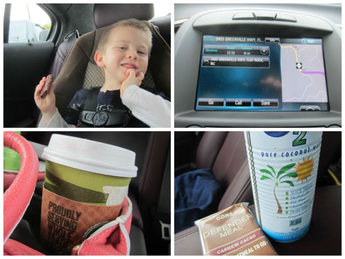 Vegan Friendly Review Of Asheville, North Carolina