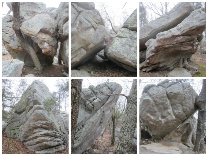 Discovering A Mysterious Purse While Geocaching In Fort Payne, Alabama