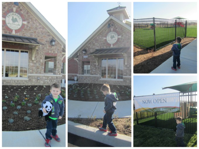 Dear Jack: Primrose Vs. Rainbow- Finding A School Near Our New House