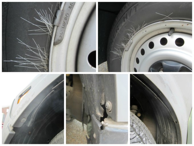 Dear Jack: I Was Hit By An Albino Deer! (Yes, An Albino Deer)