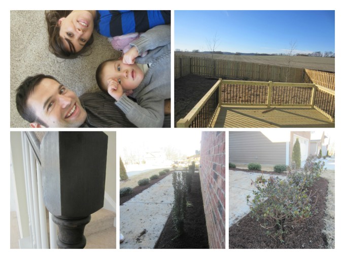 Dear Jack: Our New Home's Fence And Shrubbery