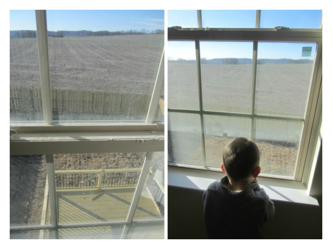 Dear Jack: Our New Home's Fence And Shrubbery