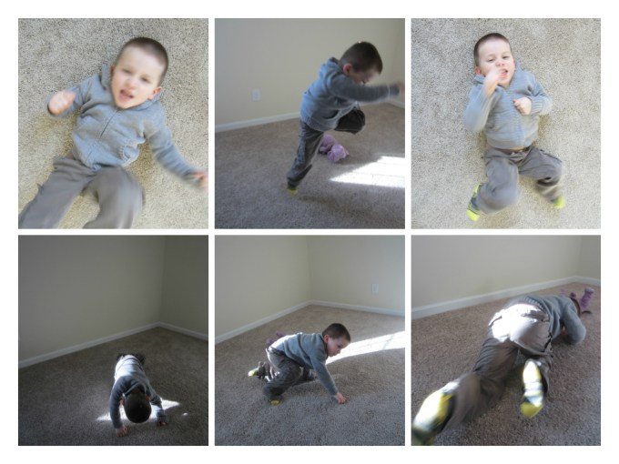 Dear Jack: Our New Home's Fence, Trees, And Shrubbery