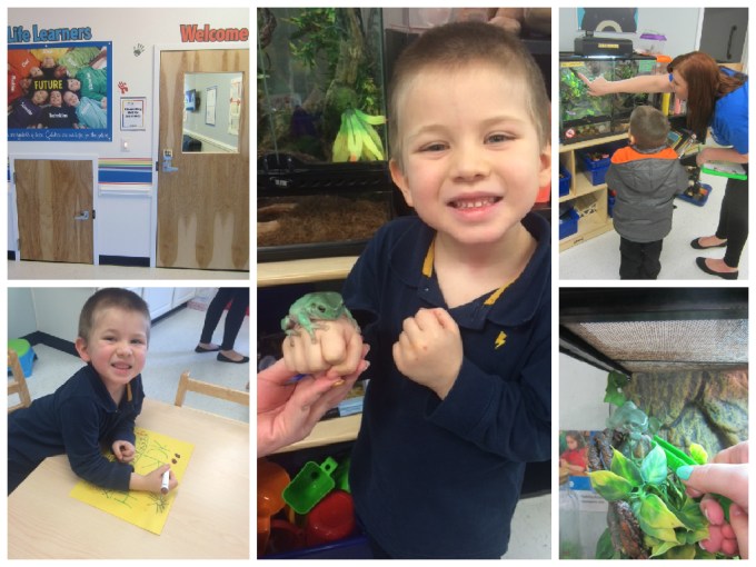 Dear Jack: Your 1st Week At Your New Preschool- Rainbow Child Care Center