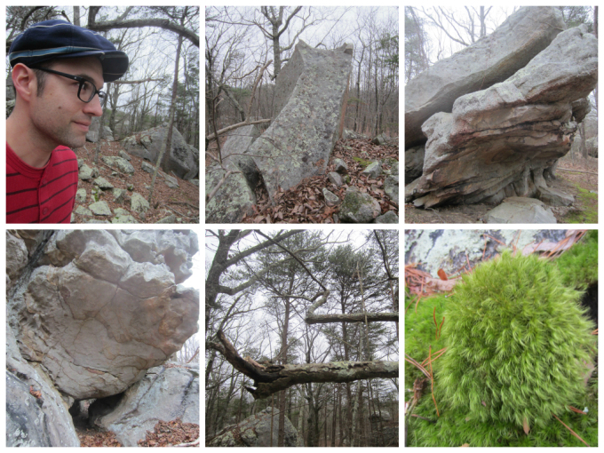 What I’ve Learned From Being A Vegan For The Past 2 Years