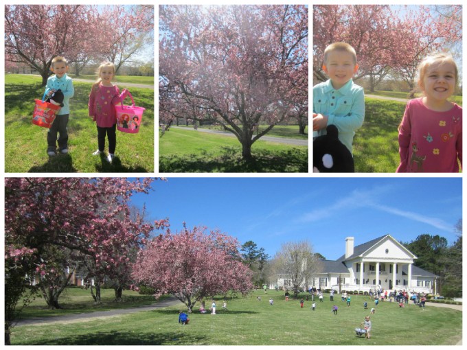 Our Easter 2015 Egg Hunt/Visit To Hawkins Spring Park