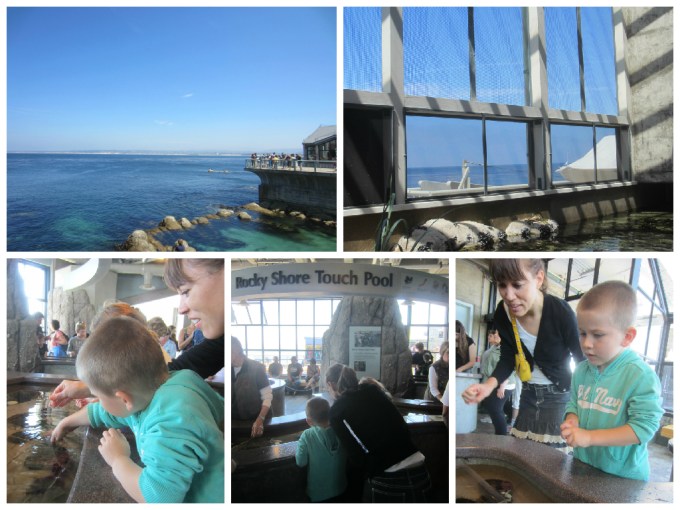 Dear Jack: Family in a Camry- “Monterey Bay Aquarium”