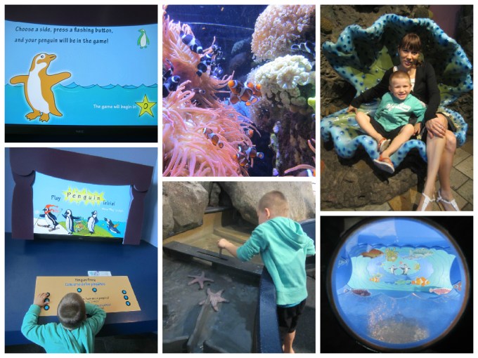 Dear Jack: Family in a Camry- “Monterey Bay Aquarium”