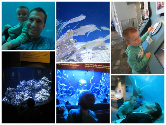 Dear Jack: Family in a Camry- “Monterey Bay Aquarium”