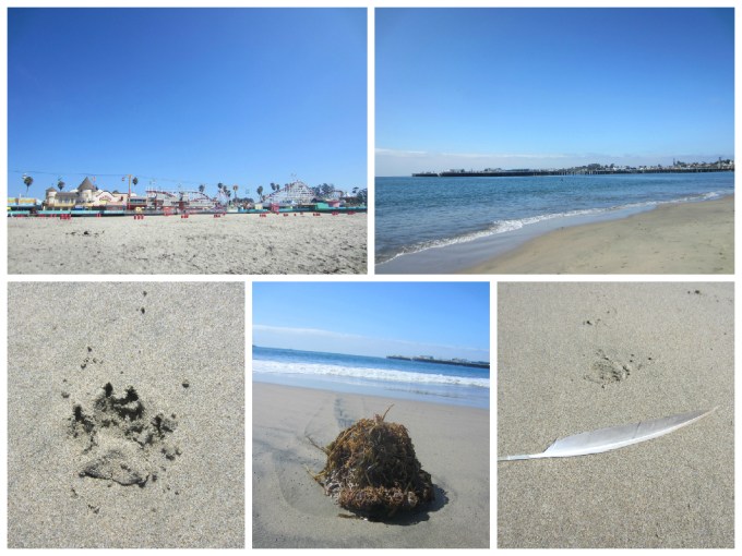 Dear Jack: Family in a Camry- “Santa Cruz Beach Boardwalk Amusement Park”
