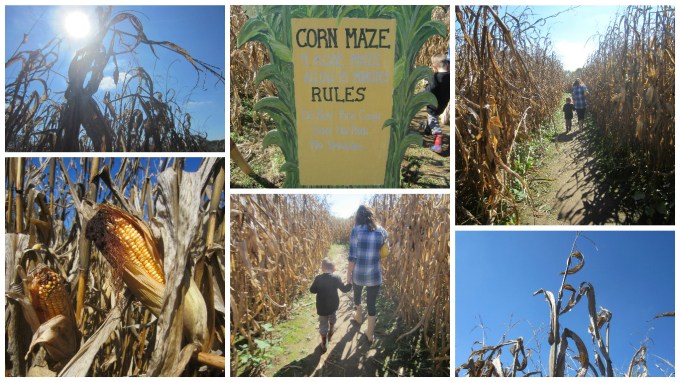 Dear Jack: Our Family’s Visit to Gentry’s Farm in Franklin, TN