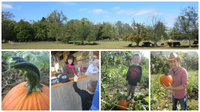Dear Jack: Our Family’s Visit to Gentry’s Farm in Franklin, TN