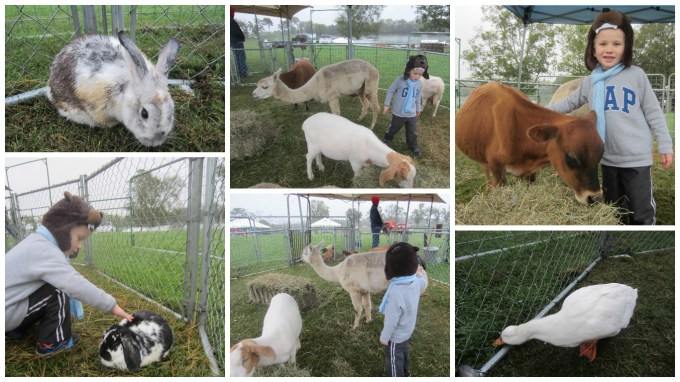 Dear Jack: We Rode in a Real Monster Truck at the Spring Hill Ham Festival!