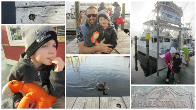 Dear Jack: You Got to Go on the Southern Star Dolphin Cruise in Destin!