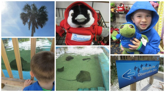 Dear Jack: You Got to Pet and Feed Dolphins at the Gulfarium Marine Adventure Park!