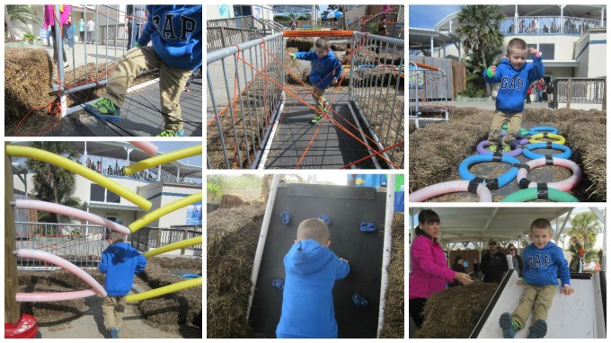 Dear Jack: You Got to Pet and Feed Dolphins at the Gulfarium Marine Adventure Park!
