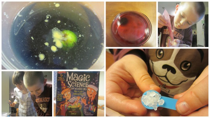 Dear Jack: Using Halloween Candy for Science Experiments Instead of Eating It