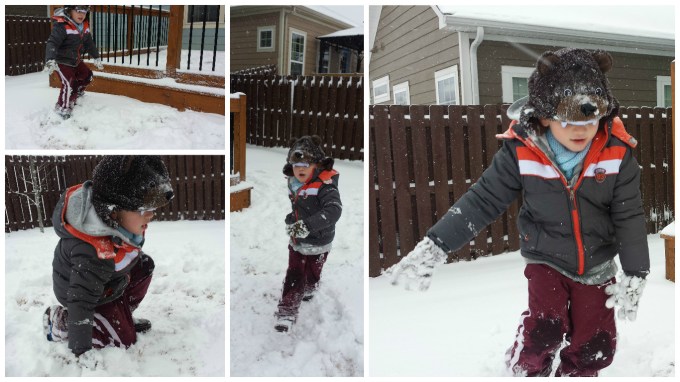 Dear Jack: The January 2016 Blizzard in Spring Hill, TN (Pictures and Videos)