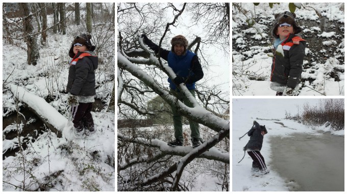 Dear Jack: The January 2016 Blizzard in Spring Hill, TN (Pictures and Videos)