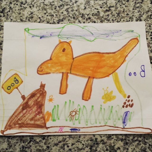 My Son’s Top 20 Accidentally Hilarious Instagram Antics: @nickshellwrites