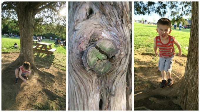 Dear Holly: Mommy Gave Birth to You with No Epidural