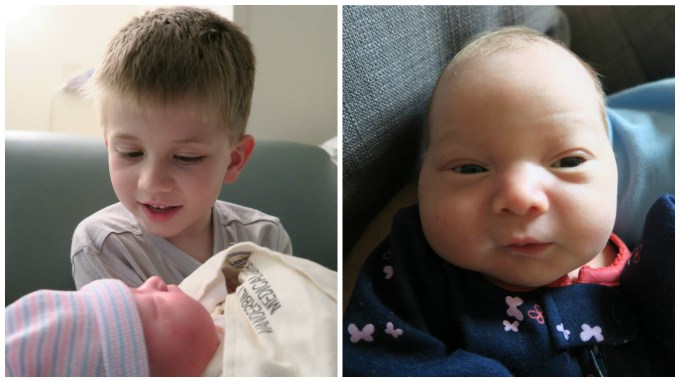 Dear Holly: You Were Born on April 24, 2016