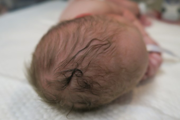 Dear Holly: You Were Born on April 24, 2016